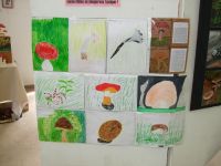 expo2010_dessins_enfants (9)